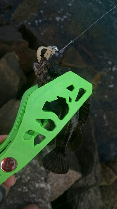 鳥羽市フェリーターミナル