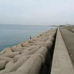 初サゴシだって