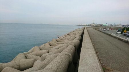 初サゴシだって