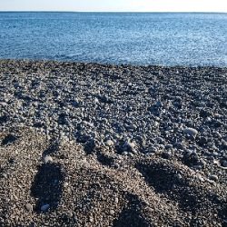 サーフエギング