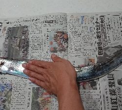 久しぶりのワインド