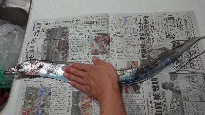 久しぶりのワインド