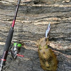 ごみは持ち帰りましょう。