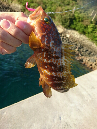 期待を膨らませ