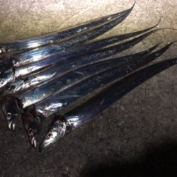 好調タッチー(^^)