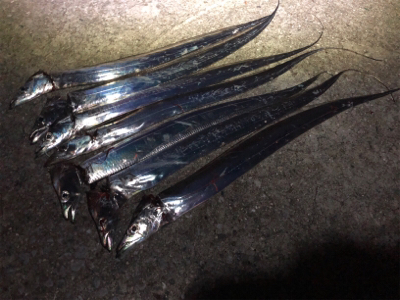 好調タッチー(^^)