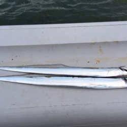 コスモ いまいち