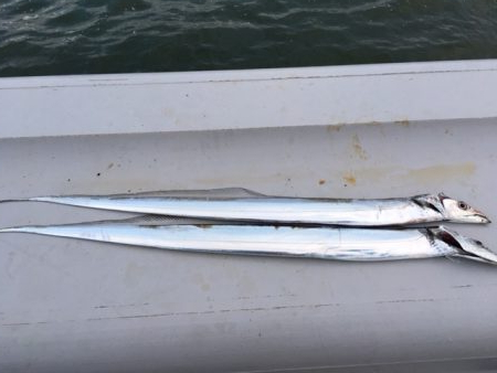 コスモ いまいち