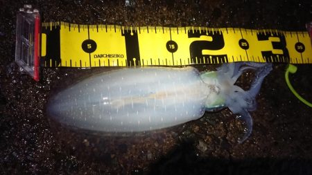 連休朝イチ狙い