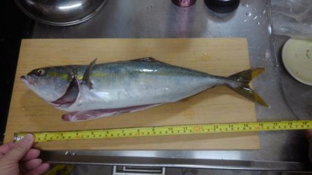 なんとか一匹！