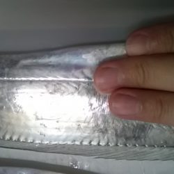 太刀魚ラッシュ