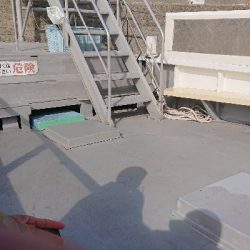 初岸和田一文字