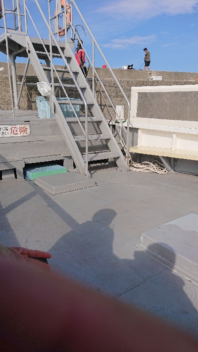 初岸和田一文字