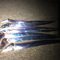 好調タッチー(^^)