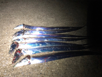 好調タッチー(^^)