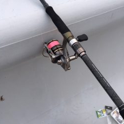 コスモ いまいち