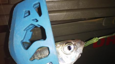 爆風プチワインド