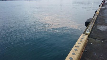 タチウオ釣行 絶不調