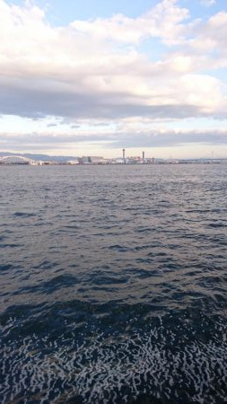 南港タチウオほぼいてない