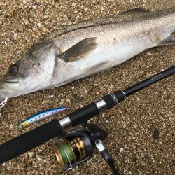 雨が止んだすきに…