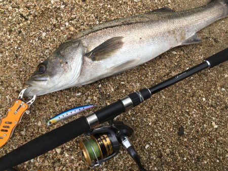雨が止んだすきに…