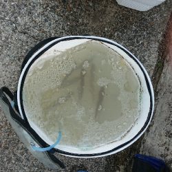 今年初で即延長戦