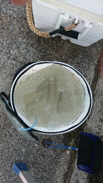 今年初で即延長戦