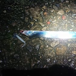 ツ抜けするまでにかえれま10