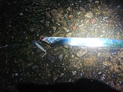 ツ抜けするまでにかえれま10