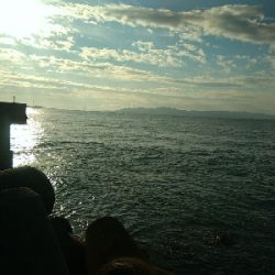 念願のハマチ！！