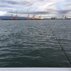 コスモ いまいち