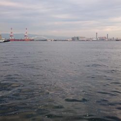 南港タチウオ渋い