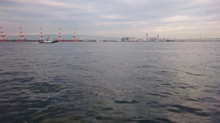 南港タチウオ渋い