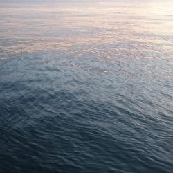 南港タチウオ激渋