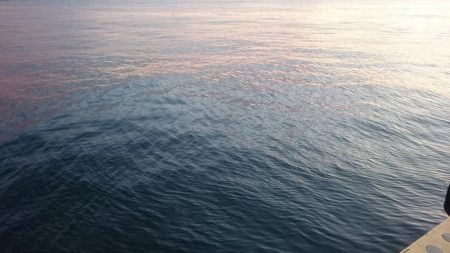 南港タチウオ激渋