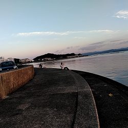 これからが、アオリイカ楽しみです(#^^#)