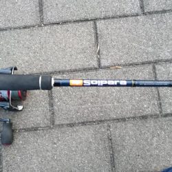 南港タチウオ渋い