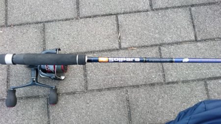 南港タチウオ渋い