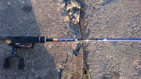 南港タチウオやっぱりまだ渋い