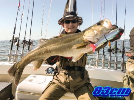 オーシャンマスター 釣果