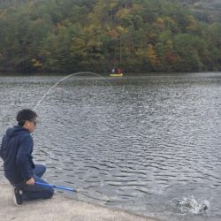 フィッシングレイクたかみや 釣果