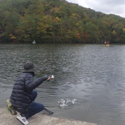 フィッシングレイクたかみや 釣果