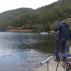 フィッシングレイクたかみや 釣果