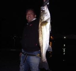 シーマジカル 釣果