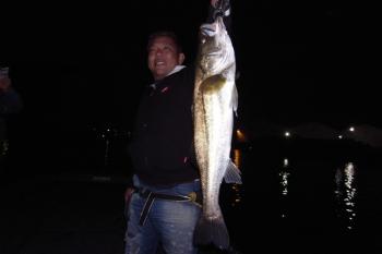 シーマジカル 釣果