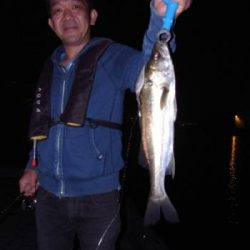 シーマジカル 釣果