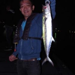 シーマジカル 釣果