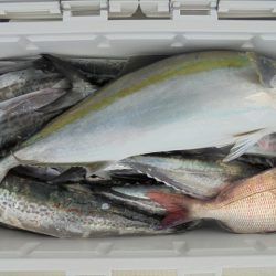 ＨＡＲＵＫＡ丸　はるかまる 釣果