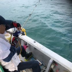 幸吉丸 釣果