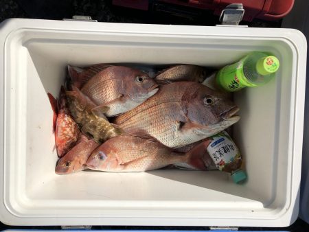 リトルワン 釣果